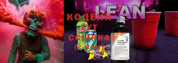 спиды Бронницы