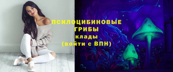 прущая мука Верея